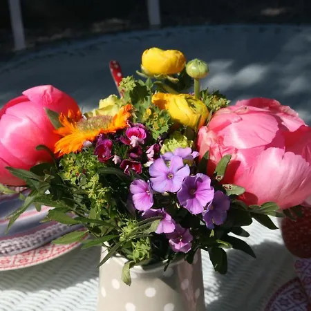 Villa Humlebaek B&B Bed & Breakfast